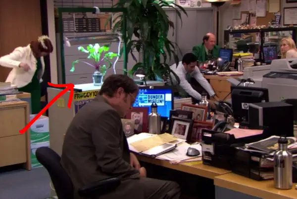 sub buzz 20916 1488235031 6 – The Office Dizisinde Muhtemelen Hiç Fark Etmediğiniz 13 Detay – 2025