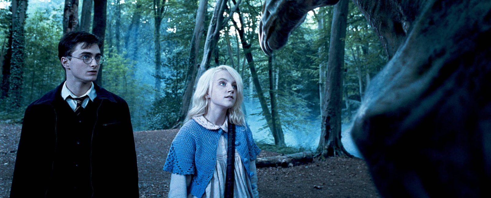 Harry Potter Luna Ve Harry