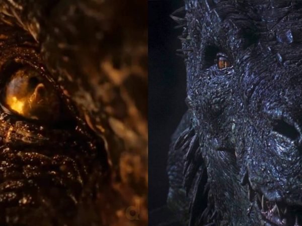 House of the Dragon Vermithor vs. Vhagar