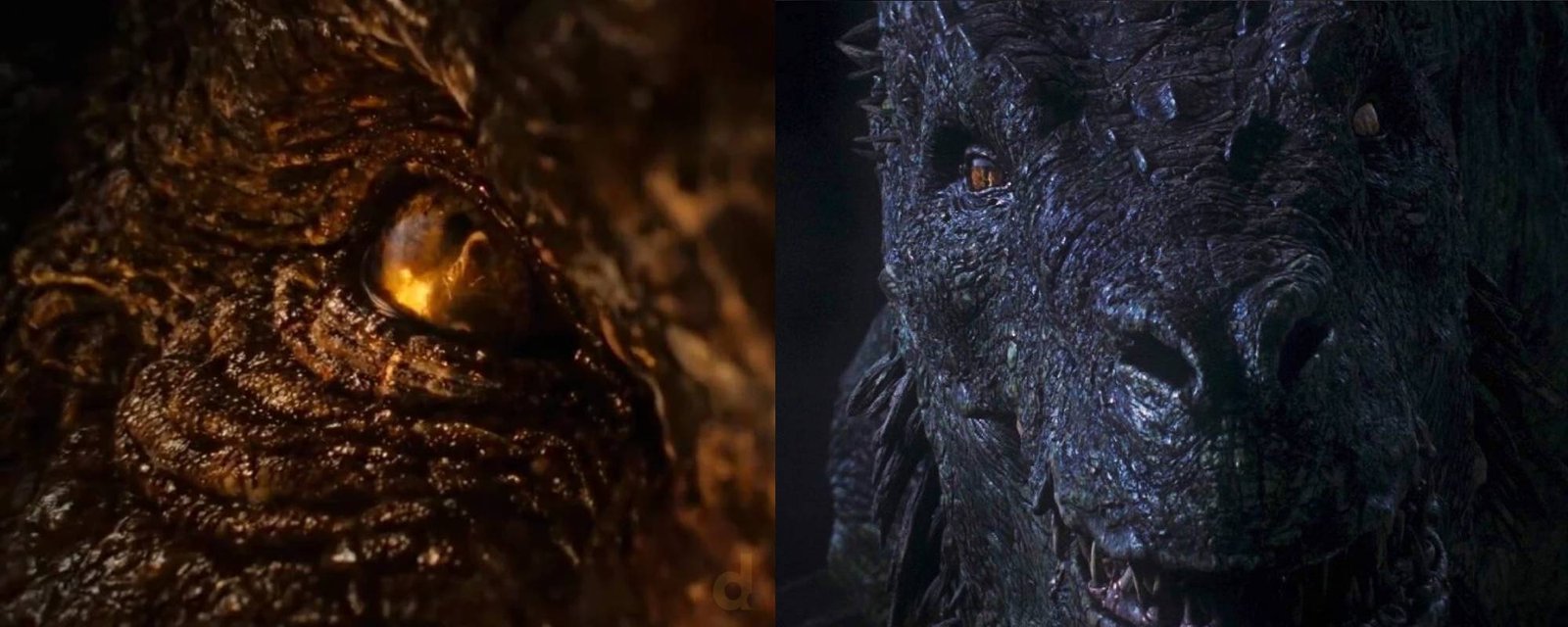 House of the Dragon Vermithor vs. Vhagar