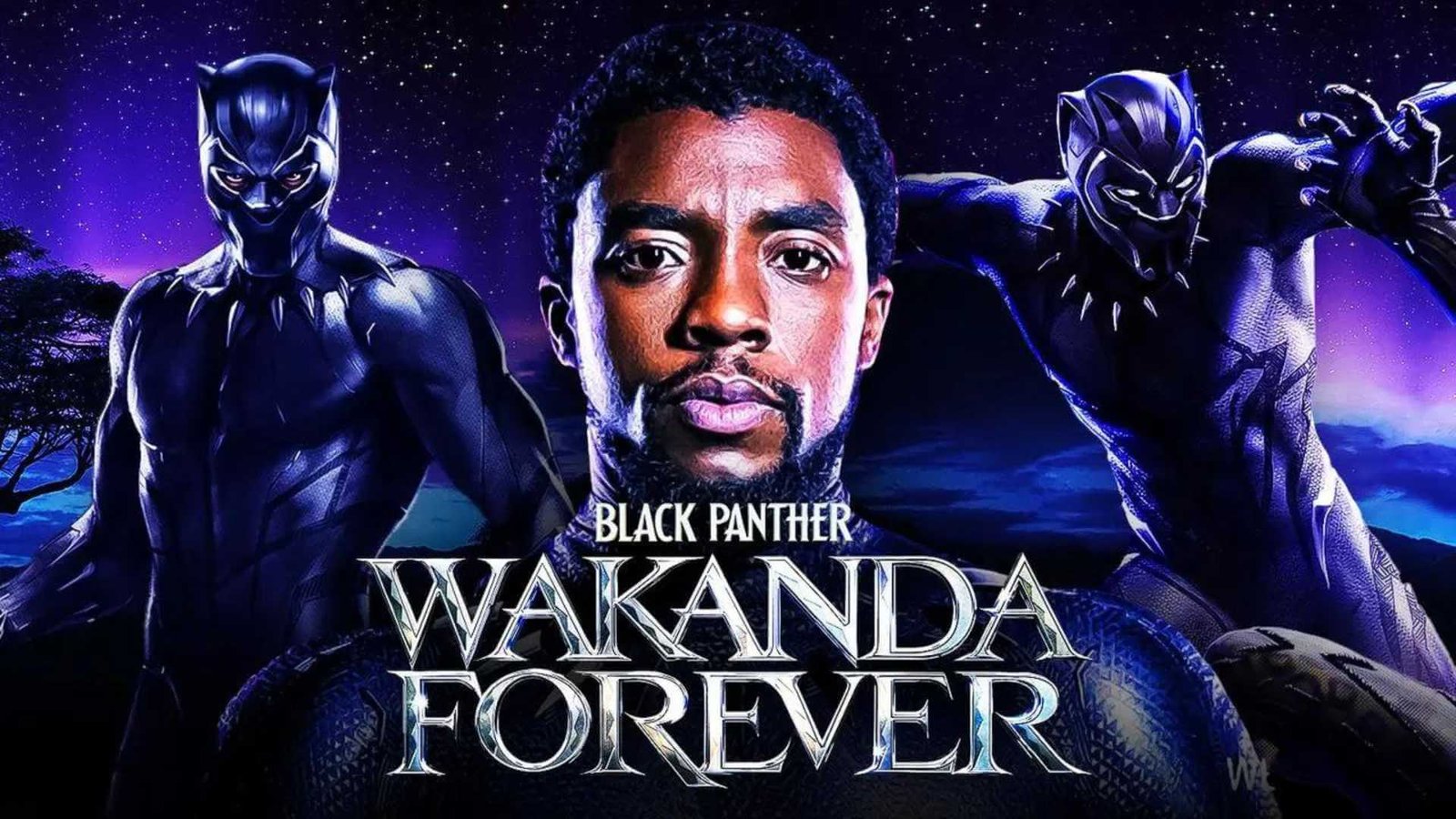 Black Panther Filmlerini İzlemenin En İyi Yolu Nedir?