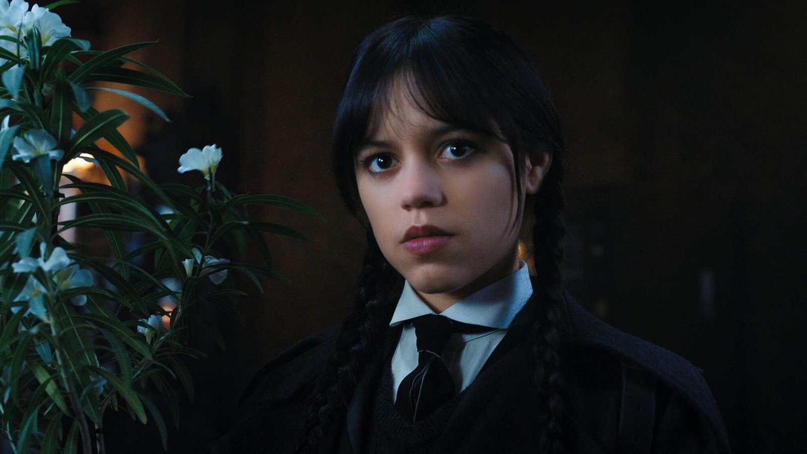Netflix Wednesday: Wednesday Addams'ın Otizm Var mı?