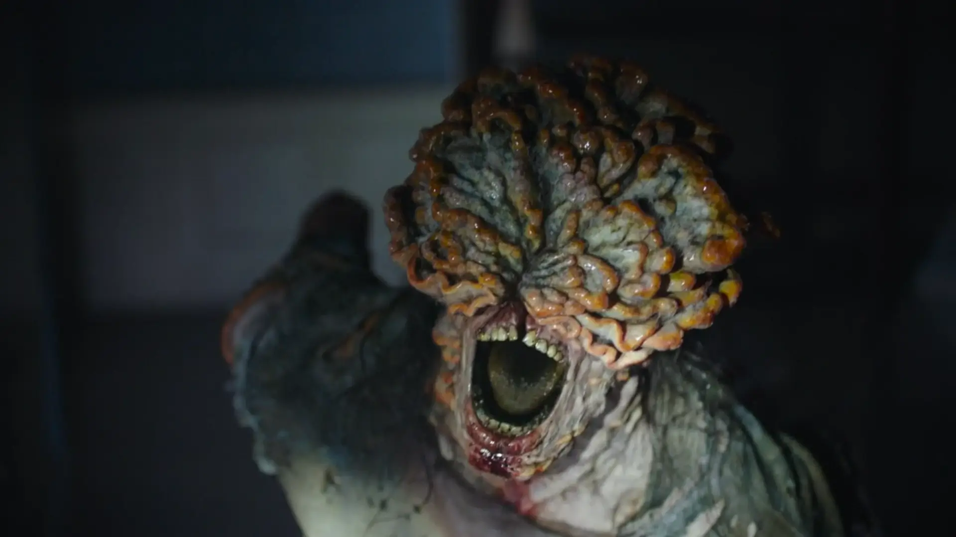 Last Of Us'ta Takırdayanlar Nelerdir?
