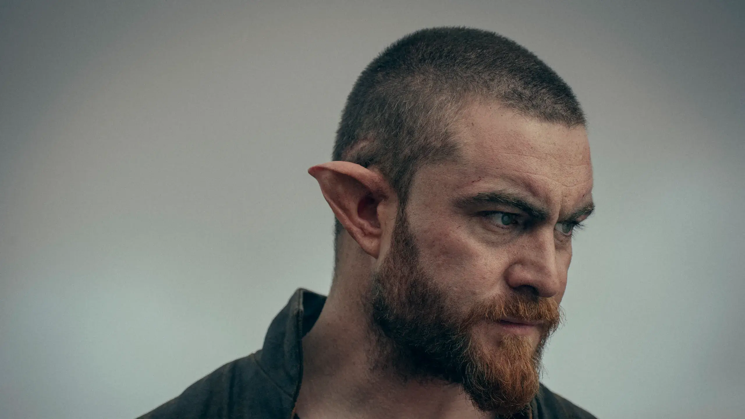 The Witcher: Elfler Witcher Olabilir mi?